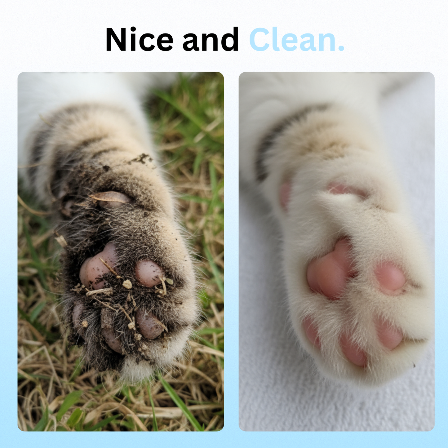 Kitty Care Daily Cleaning Gloves