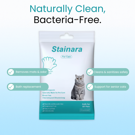 Kitty Care Daily Cleaning Gloves